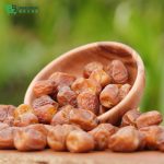 শুক্কারি রুতাপ খেজুর | Shukkari Rutab Dates