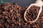 প্রিমিয়াম লবঙ্গ | Premium cloves