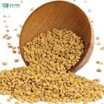 মেথি | Fenugreek - Image 2